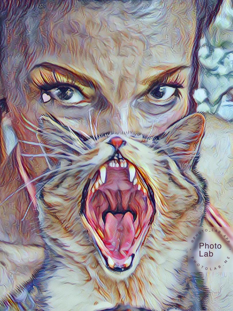 Sex Standard: No Animal Involvement. People try to mingle with animals in a myriad of ways that I learned to&nbsp;forbid