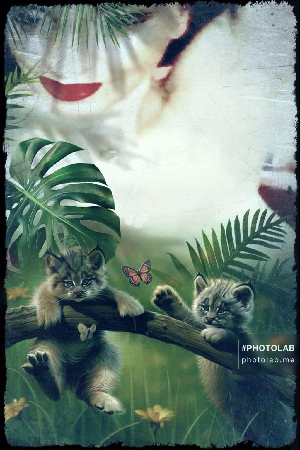 Intelligent, Ironic: Not Words Usually Associated with Writings About&nbsp;Subculture