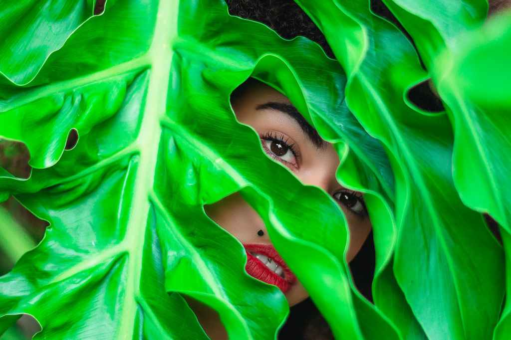 Addict Life in&nbsp;Honolulu