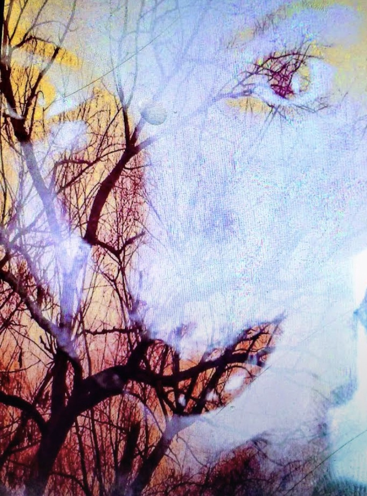 Video: Haters in Downtown Honolulu—Misguided video&nbsp;#1