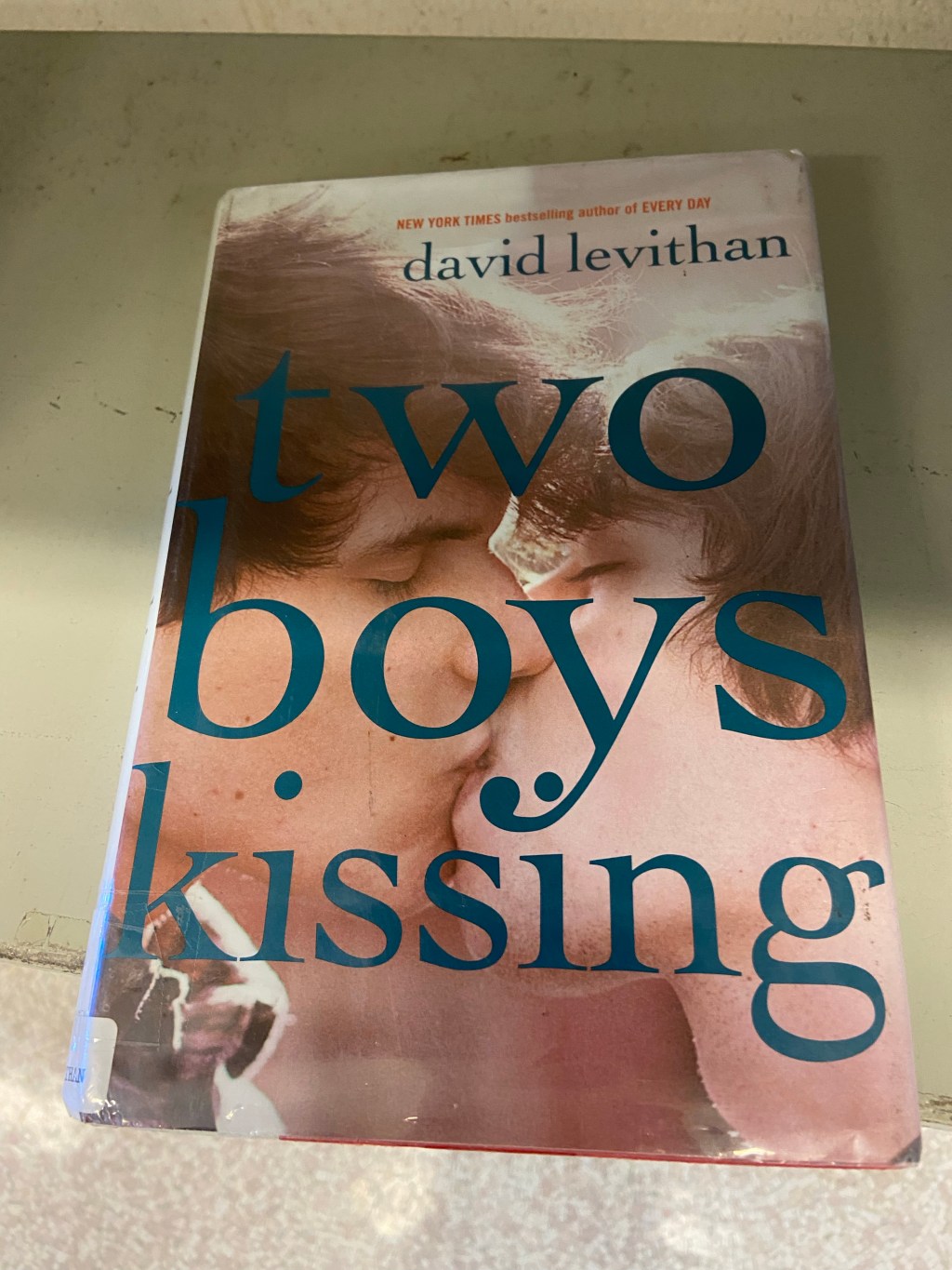 “Two Boys Kissing,” a kid’s book In Honolulu&nbsp;libraries
