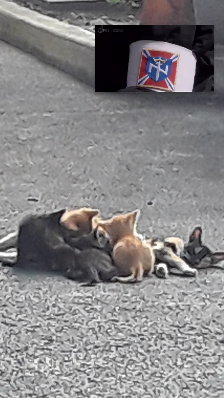 the Unabomber and&nbsp;I