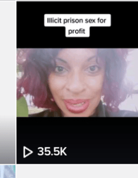 35,000+ views of this blog’s “Illicit prison sex for profit” TikTok&nbsp;video.
