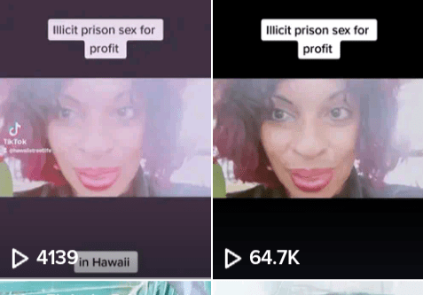 Educational Video, 68K views, illicit prison s*x for&nbsp;profit